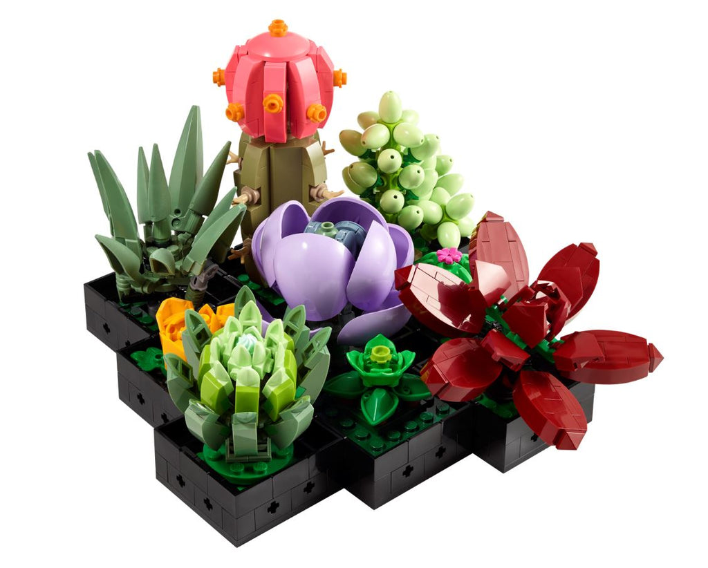 LEGO BOTANICALS - LES SUCCULENTES #10309
