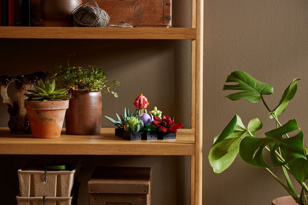 LEGO BOTANICALS - LES SUCCULENTES #10309