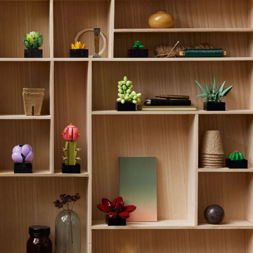 LEGO BOTANICALS - LES SUCCULENTES #10309