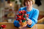 LEGO BOTANICAL COLLECTION - LE POINSETTIA #10370