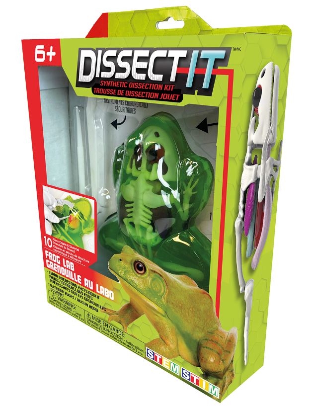 DISSECT IT - GRENOUILLE AU LABO