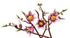 LEGO BOTANICALS - LES BRANCHES DE MAGNOLIA #11510