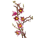 LEGO BOTANICALS - LES BRANCHES DE MAGNOLIA #11510