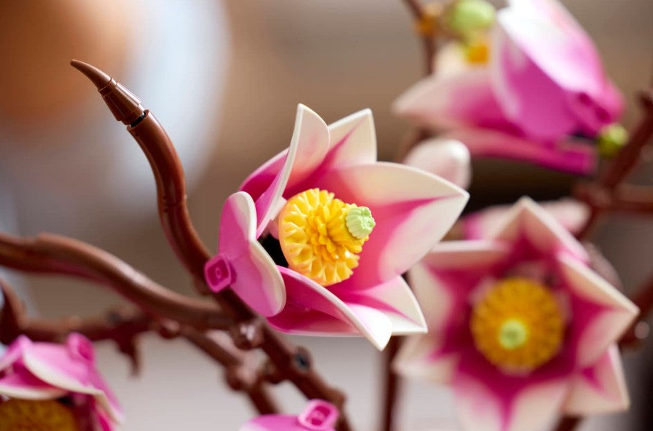 LEGO BOTANICALS - LES BRANCHES DE MAGNOLIA #11510