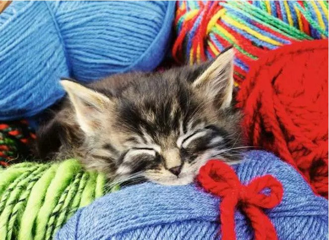 RAVENSBURGER CASSE-TÊTE 100 PIÈCES XL - CHAT EN LAINE #12001363