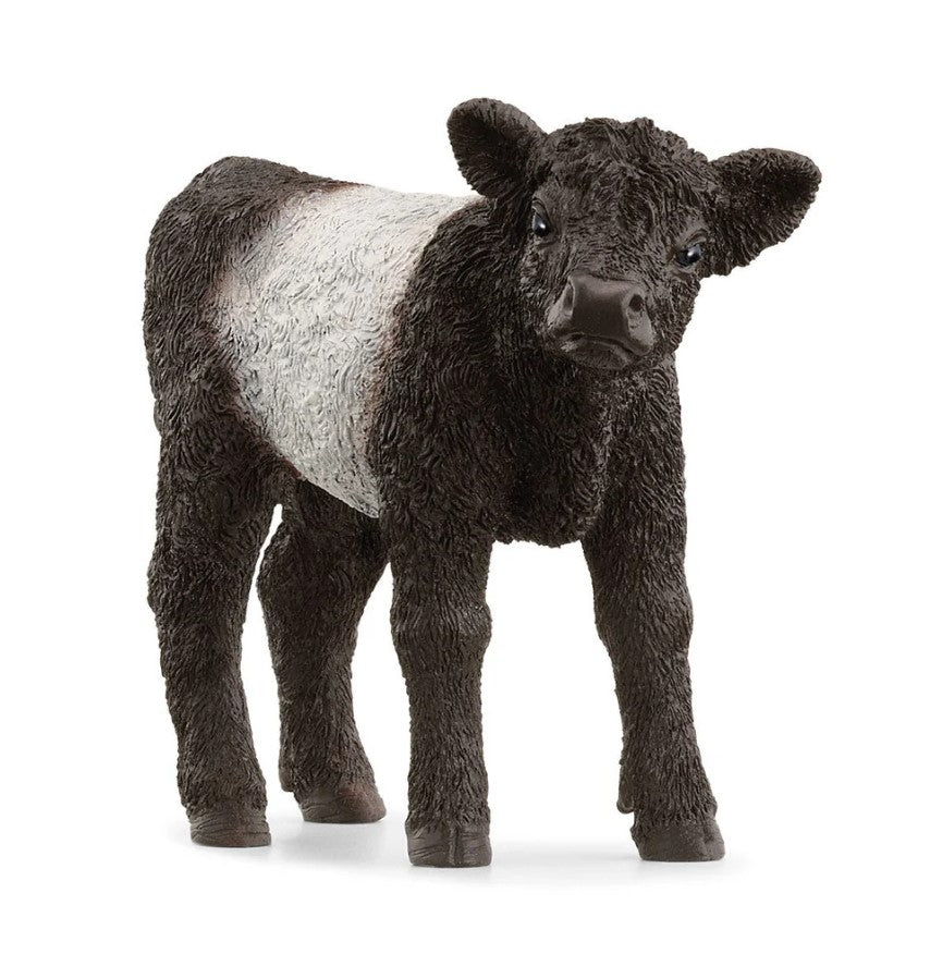 SCHLEICH - GALLOWAY CALF #13969