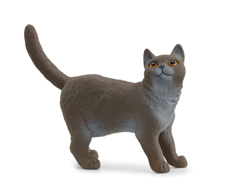 SCHLEICH - CHAT BRITANNIQUE À POIL COURT (BRITISH SHORTHAIR) #13973
