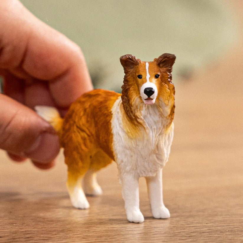 SCHLEICH - COLLIE DOG #13998 *CHICOUTIMI EXCLUSIVE*