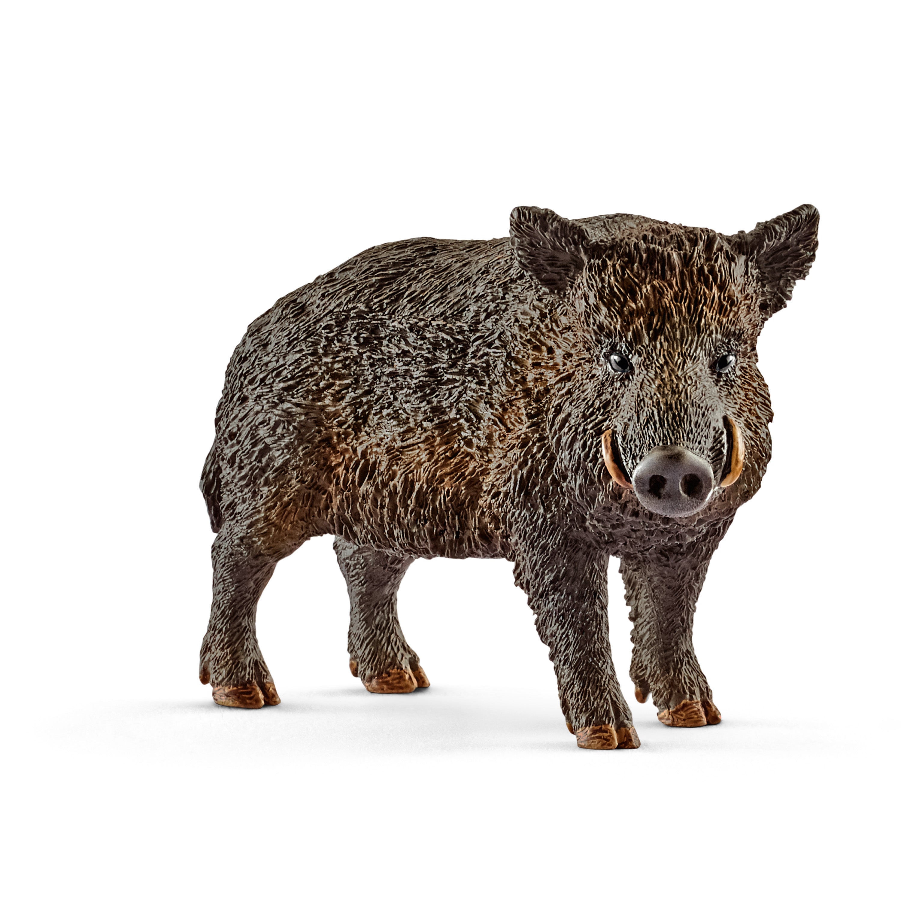 SCHLEICH - PHACOCHÈRE #14783