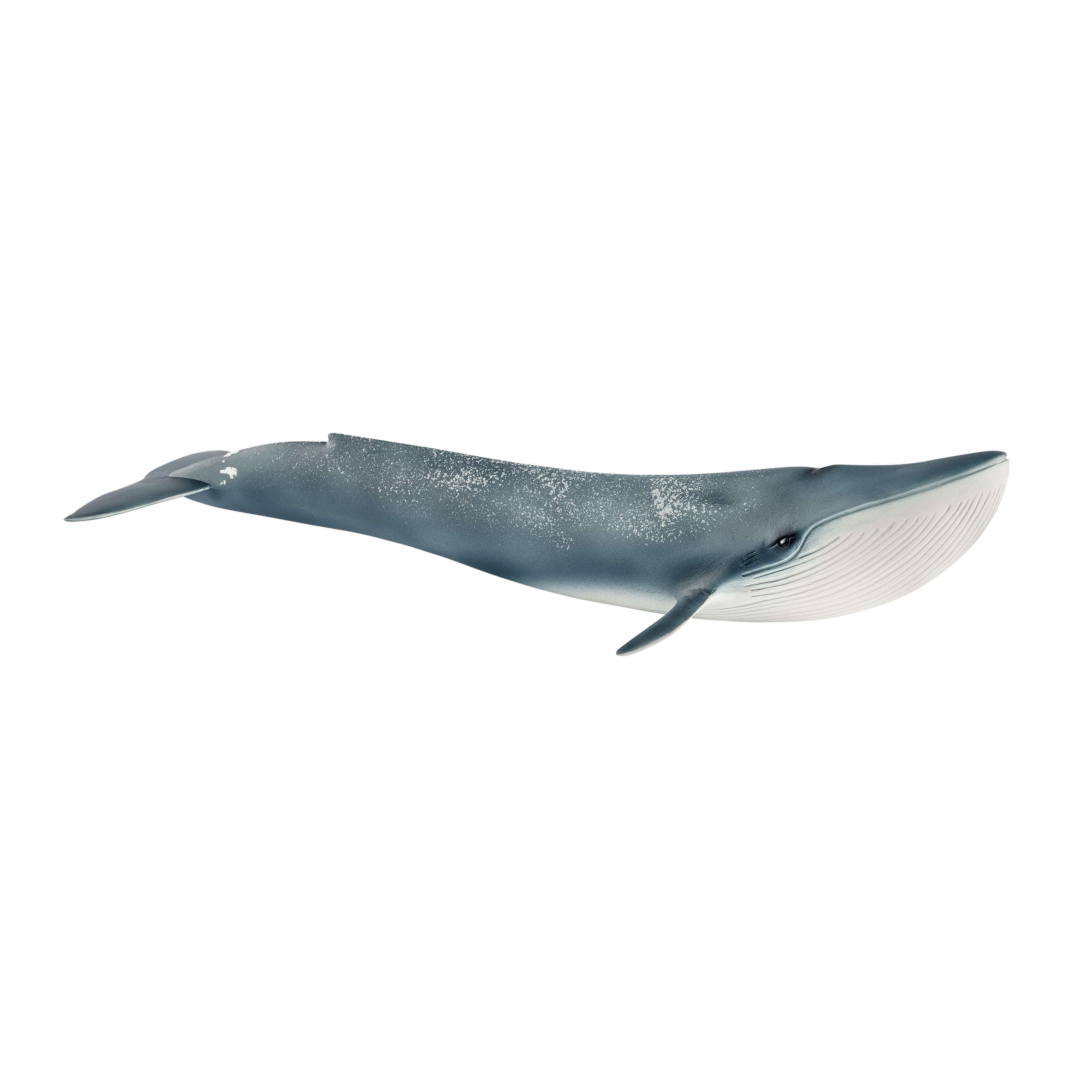 SCHLEICH - BLUE WHALE #14806