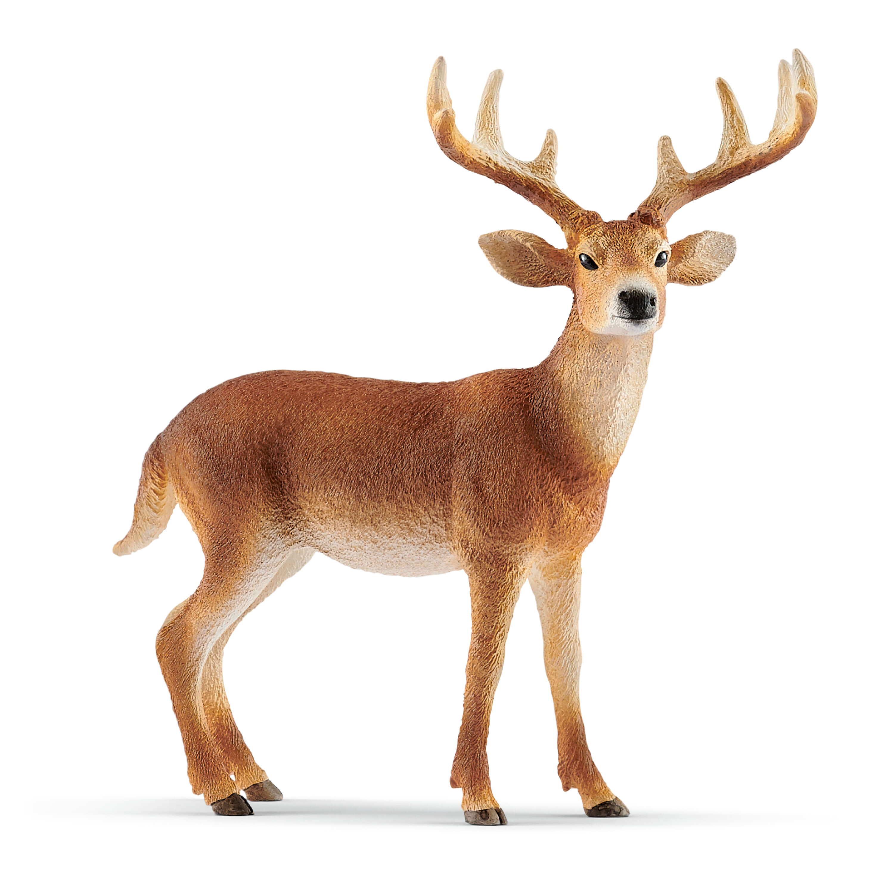 SCHLEICH - CERF DE VIRGINIE #14818