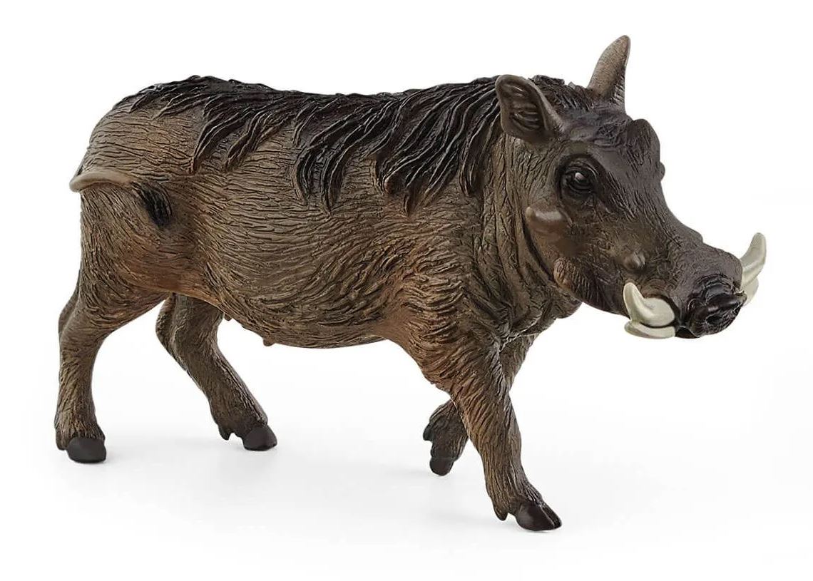 SCHLEICH - PHACOCHÈRE #14843