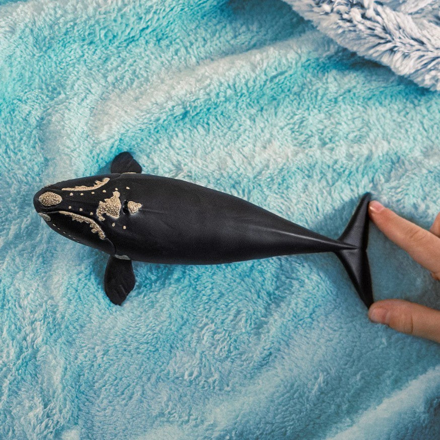 SCHLEICH - BALEINE FRANCHE DE L'ATLANTIQUE NORD #14878