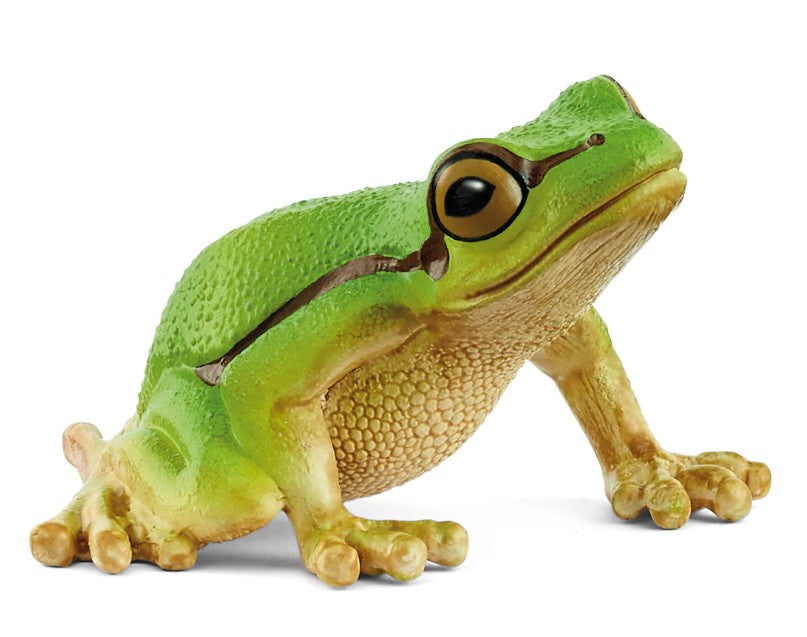 SCHLEICH - RAINETTE EUROPÉENNE #14882