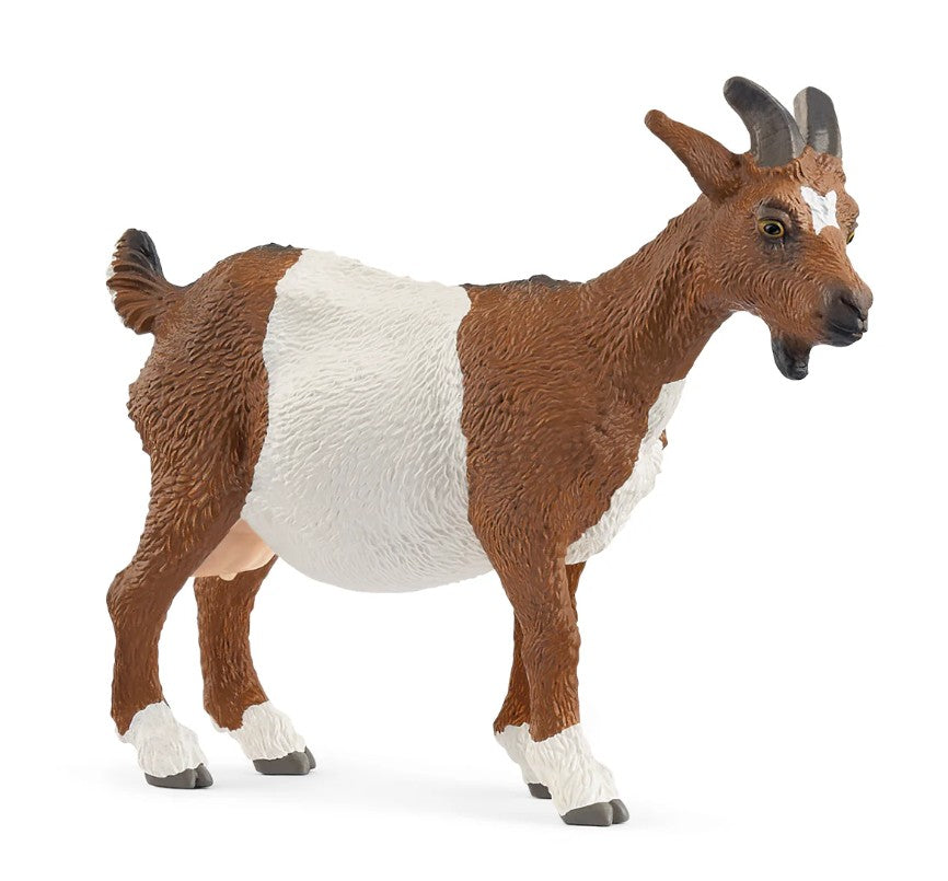 SCHLEICH - GOAT #14887 *CHICOUTIMI EXCLUSIVE*