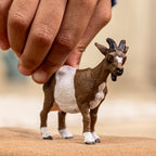SCHLEICH - GOAT #14887 *CHICOUTIMI EXCLUSIVE*