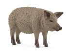 SCHLEICH - COCHON MANGALICA #14892 *EXCLUSIF À CHICOUTIMI*