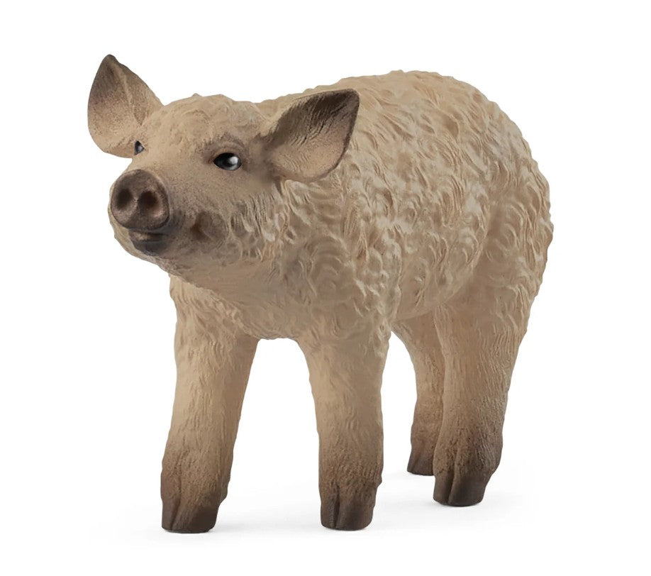 SCHLEICH - PORCELET MANGALICA #14893 *EXCLUSIF À CHICOUTIMI*