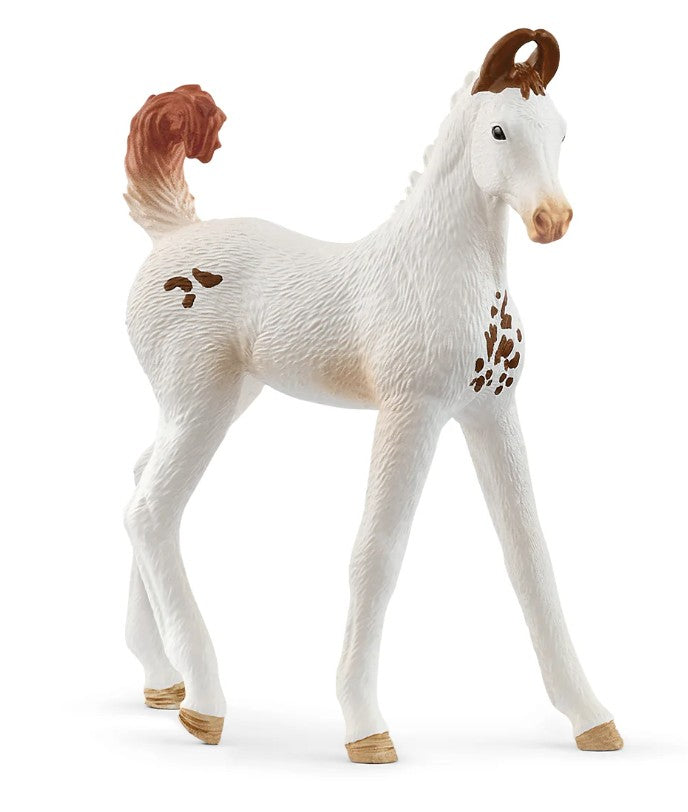 SCHLEICH - POULAIN MARWARI #14896 *EXCLUSIF À CHICOUTIMI*