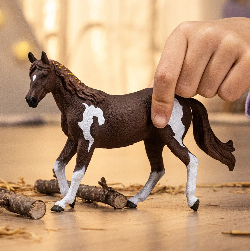 SCHLEICH - JUMENT PAINT HORSE #14901 *EXCLUSIF À CHICOUTIMI*