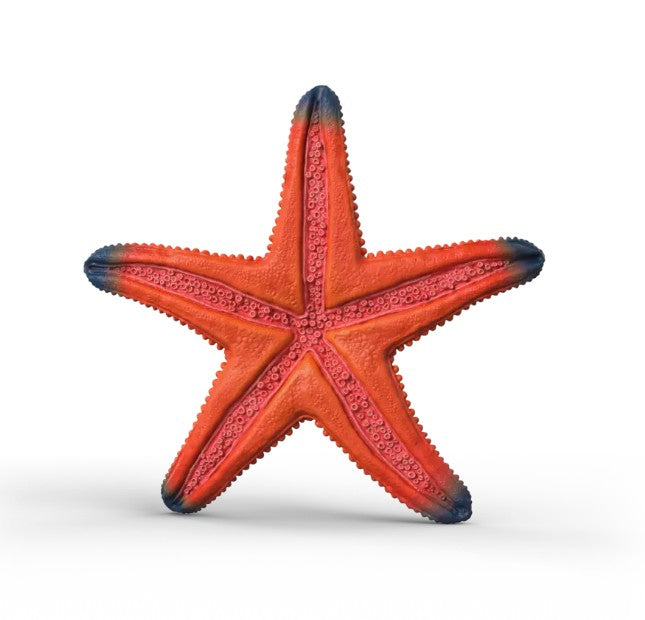SCHLEICH - ÉTOILE DE MER (CHANGEMENT DE COULEUR) #14902