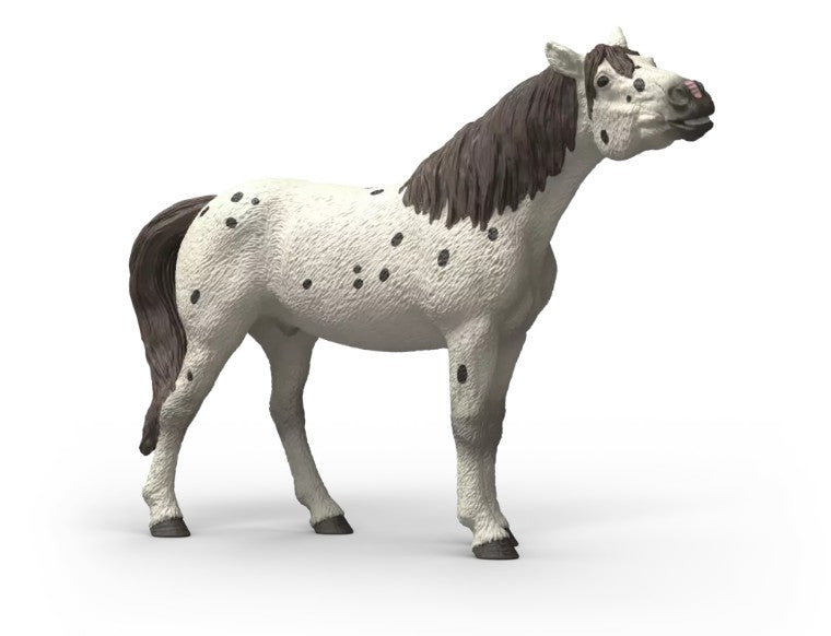 SCHLEICH - CHEVAL HONGRE KNABSTRUPPER #14916