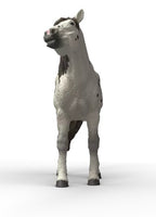 SCHLEICH - CHEVAL HONGRE KNABSTRUPPER #14916