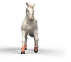 SCHLEICH - JUMENT KNABSTRUPPER #14917