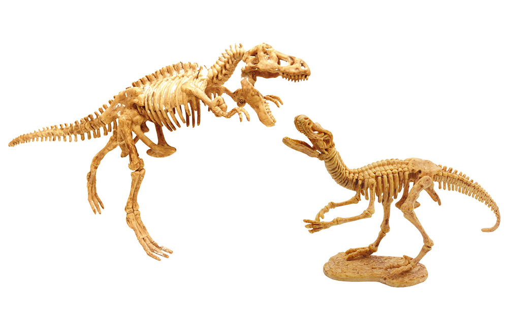 BUKI FRANCE DÉCOUVERTES - DINO DIG