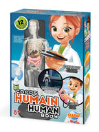 BUKI - HUMAN BODY - TOP 10