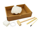 BUKI DÉCOUVERTES - DIG'KIT - COQUILLAGES