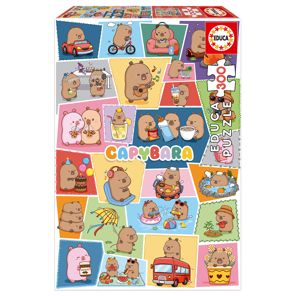EDUCA CASSE-TÊTE 300 PIÈCES - CAPYFUN #20485
