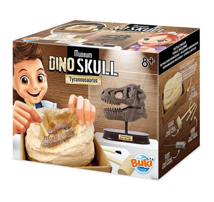 BUKI MUSEUM SKULLS - T-REX