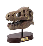 BUKI MUSEUM SKULLS - T-REX