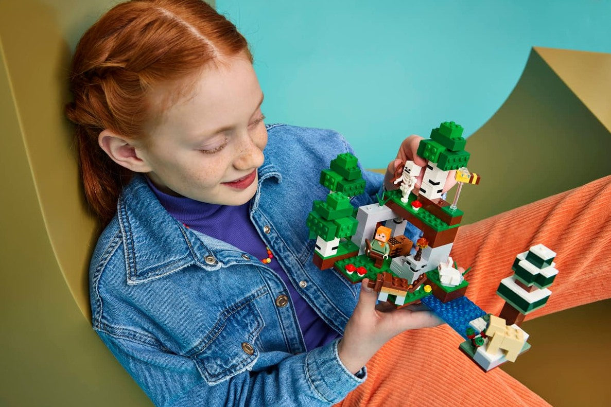 LEGO MINECRAFT - THE FIRST NIGHT ADVENTURE #21593
