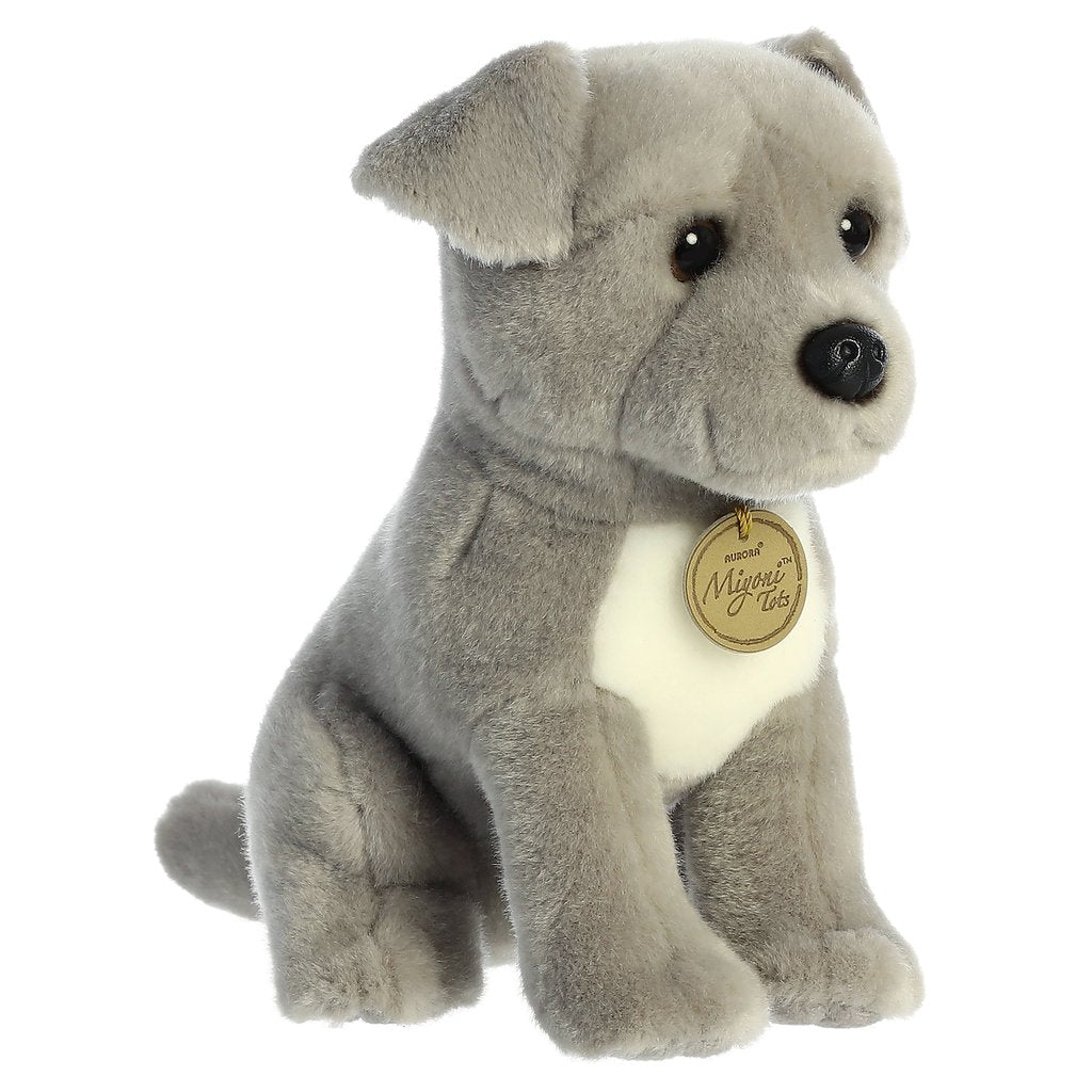 CHIOT PIT BULL 9"
