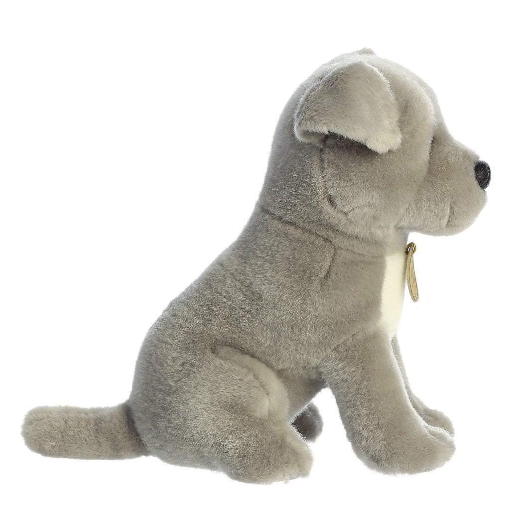 CHIOT PIT BULL 9"