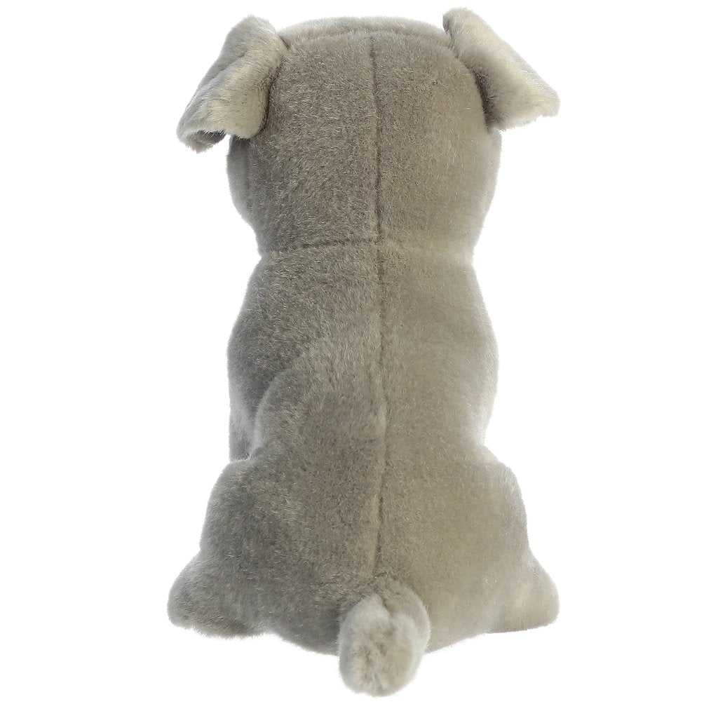 CHIOT PIT BULL 9"