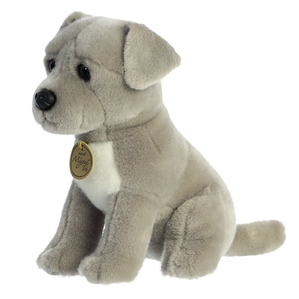 CHIOT PIT BULL 9"