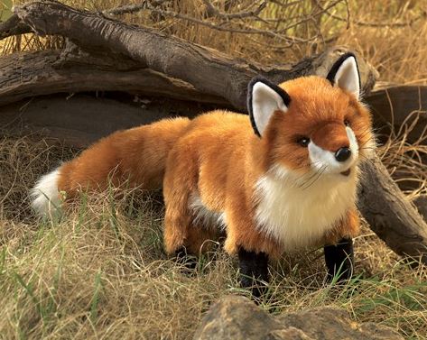 MARIONNETTE RENARD ROUX