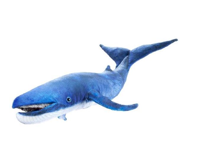 MARIONNETTE - BALEINE BLEUE