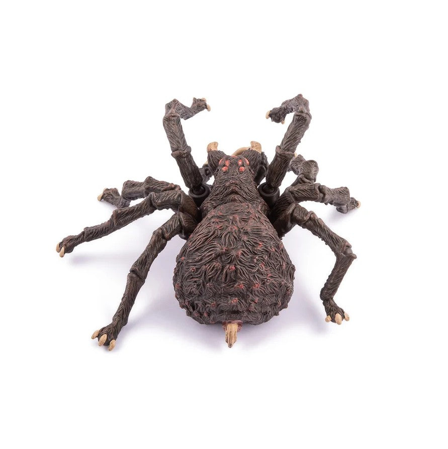 PAPO - ARACHNOS #36048