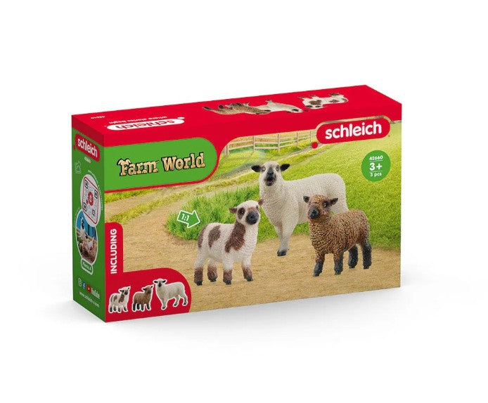 SCHLEICH - SHEEP TRIO #42660 *CHICOUTIMI EXCLUSIVE*