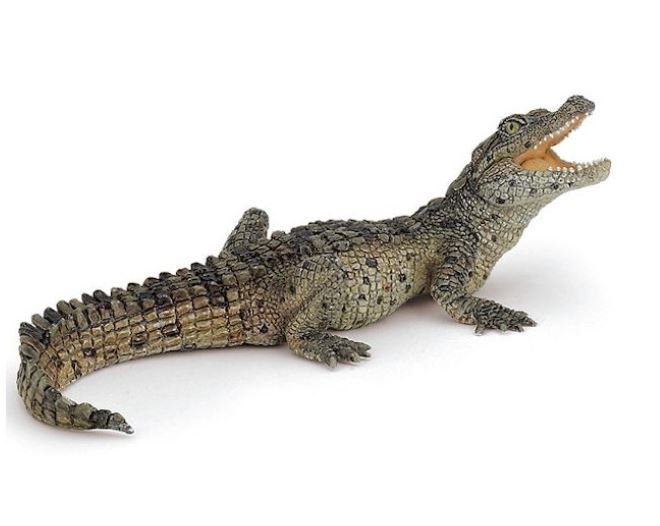 PAPO - BÉBÉ CROCODILE #50137