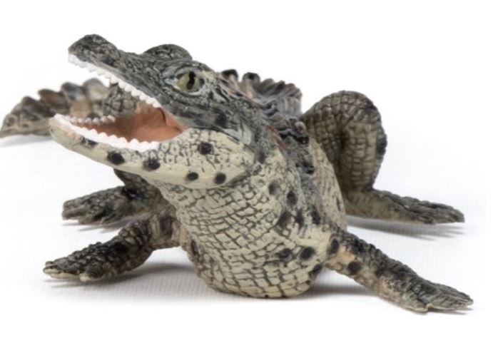PAPO - BÉBÉ CROCODILE #50137