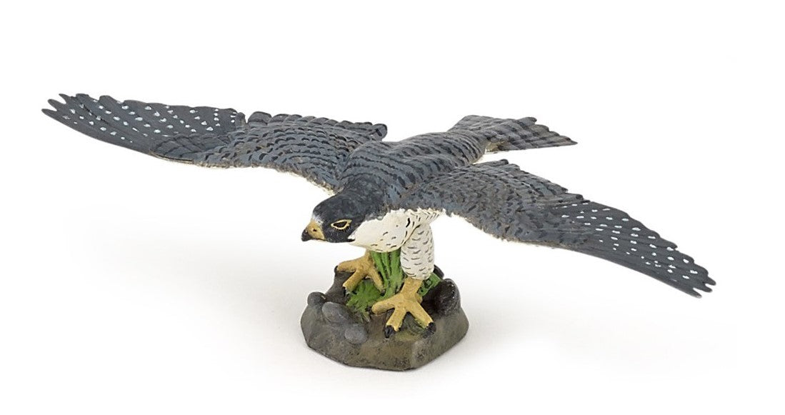 PAPO - FALCON #50165
