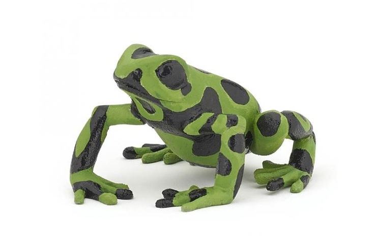 PAPO - EQUATORIAL GREEN FROG #50176
