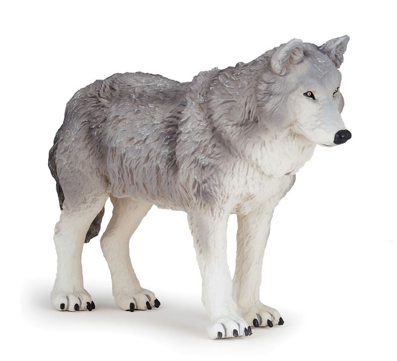 PAPO - GRAND LOUP #50211