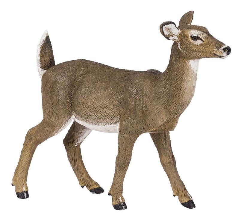 PAPO - WHITE-TAILED DEER #50218
