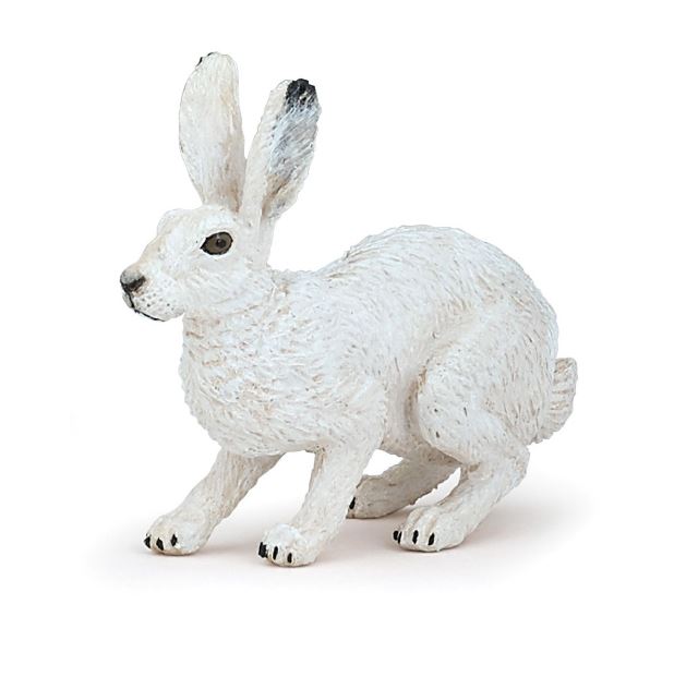 PAPO - LIÈVRE POLAIRE #50226